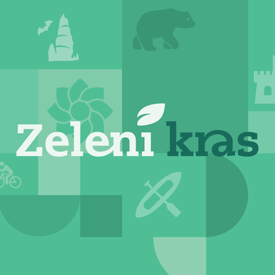 DMC Zeleni kras