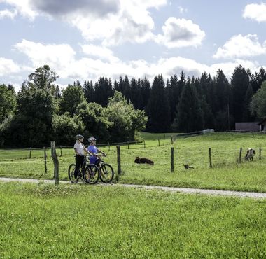 Dve osebi kolesarita po makadamski poti skozi zeleno podeželje, mimo pašnikov s kravami in gozda v ozadju.